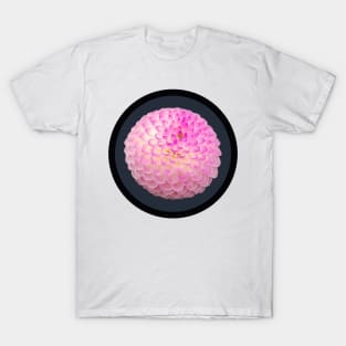 Mauve Ball Dahlia Flower Circle Frame T-Shirt